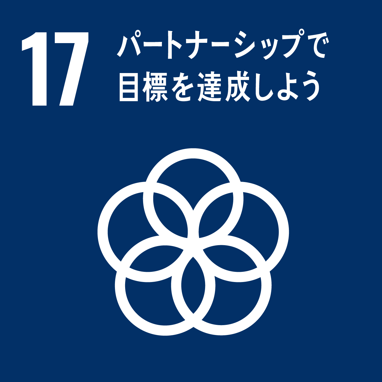 sdg17 パートナーシップで目標を達成しよう